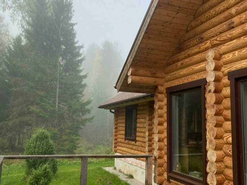 pexels-marina-leonova-9733738