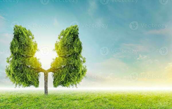 OXYGENATION CELLULAIRE