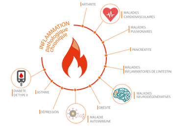 UNE REPONSE INFLAMMATOIRE OPTIMALE