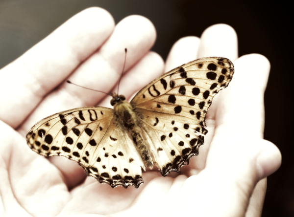 A vos côtés – Opération « Prends ma main »