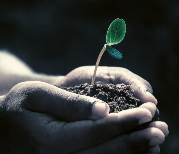 PATAPOUF OU FIL DE FER?