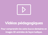Vidéos  pédagogiques