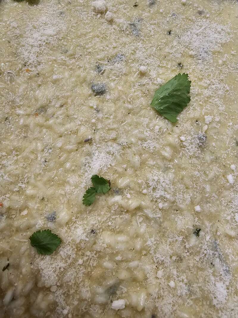 20231111_20011820231114-3712520-k3eyt0