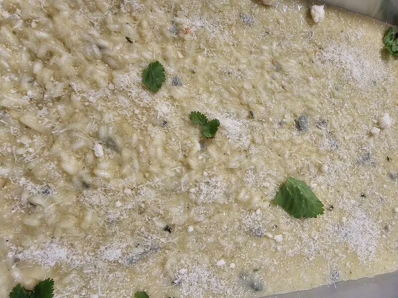 20231111_20020720231114-3712520-48yxyc