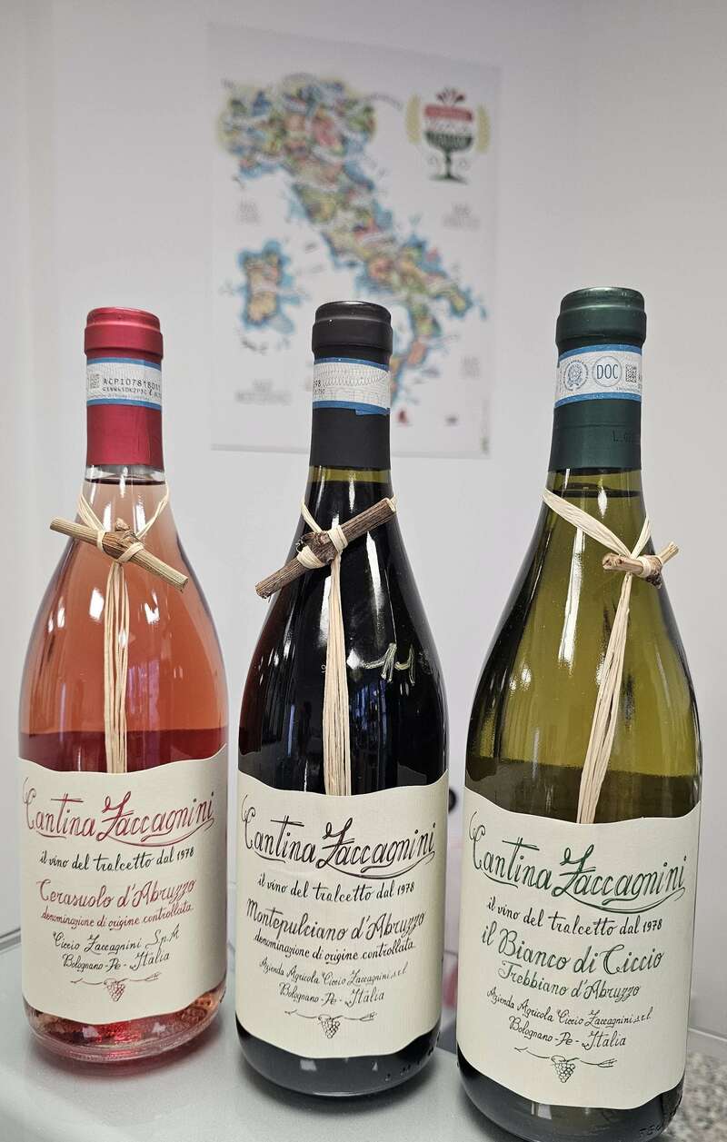 20231107_16165820231114-3712520-7ymbsg