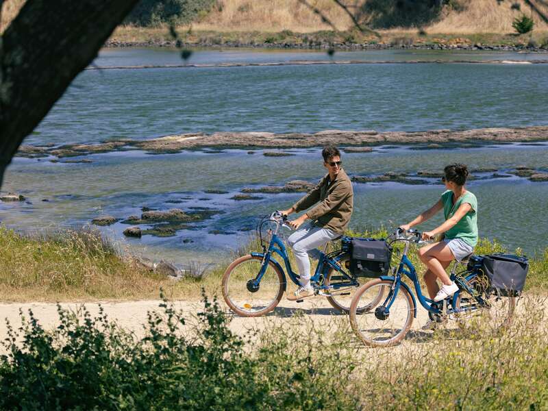 polder_barbatre_-___47__1-min