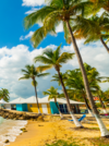 conciergerie guadeloupe