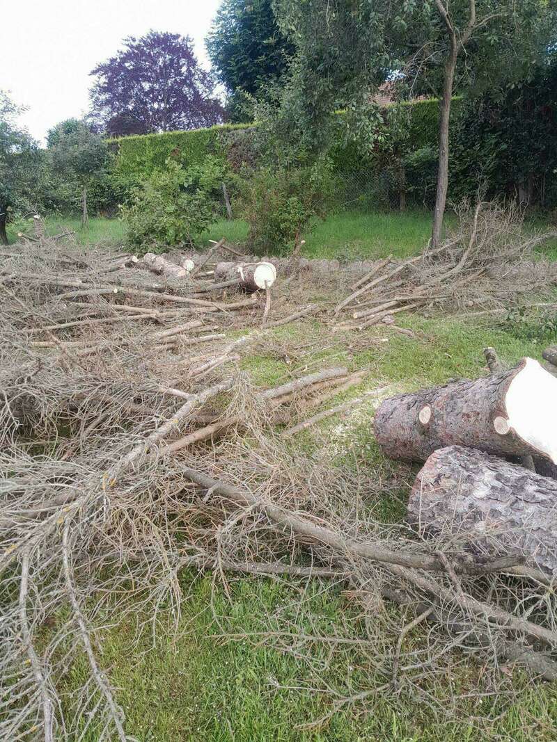 img_2024-06-29-08-42-07-34420240710-1061314-19s1ov1