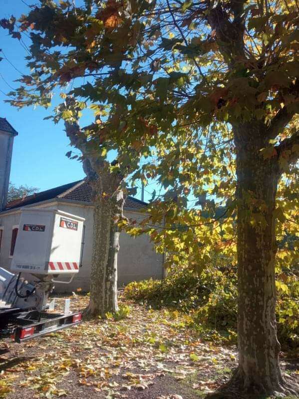 fb_img_172058301024520240710-1061314-16nswlp