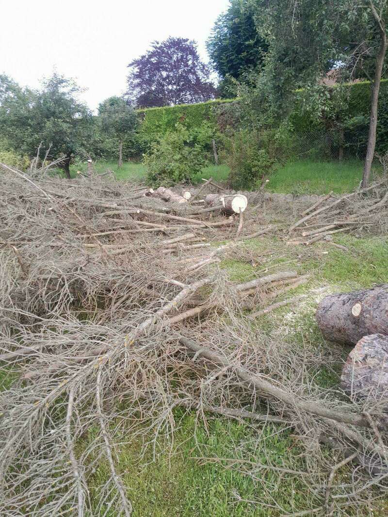 img_2024-06-29-08-42-08-95520240710-1061314-1grjnsa