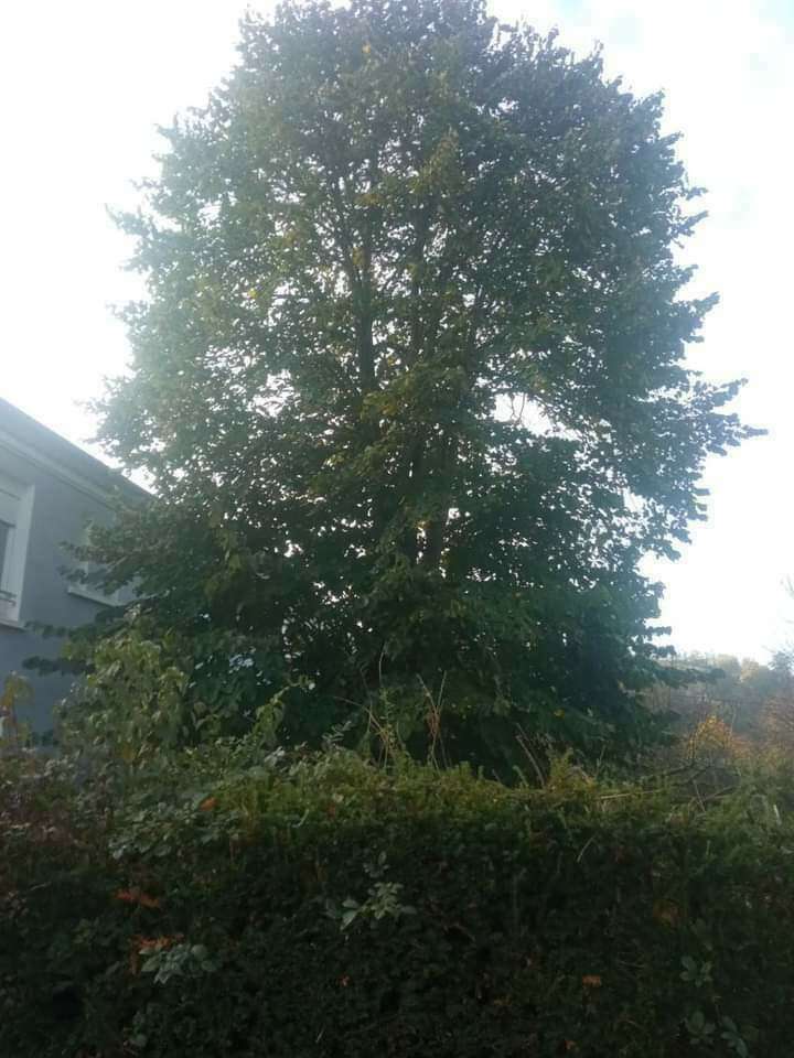 fb_img_172058299794120240710-1061314-1q2w51f