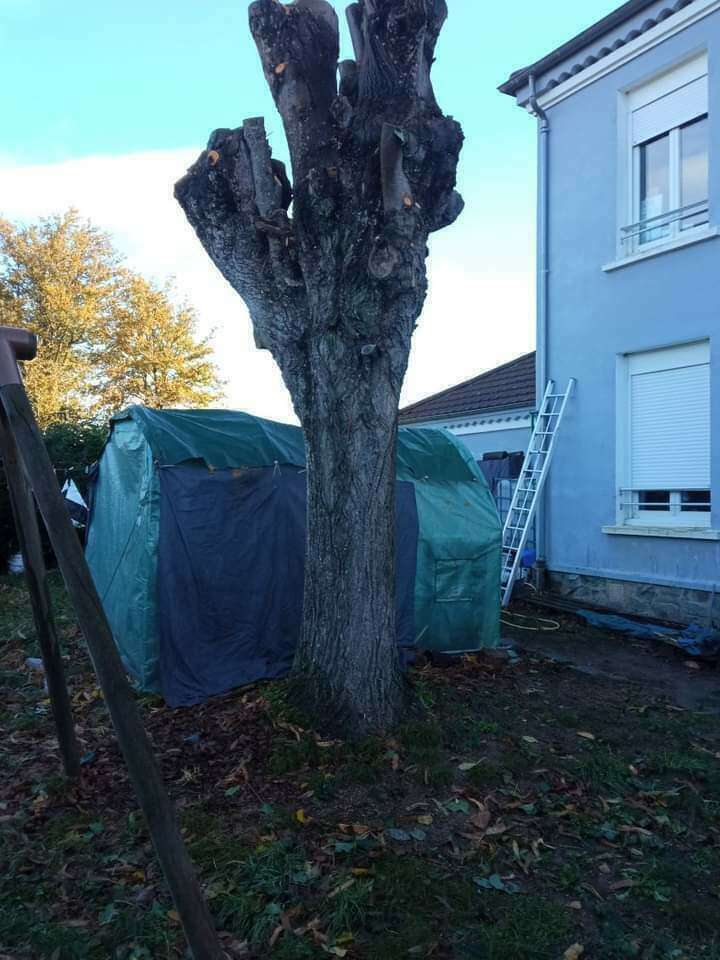 fb_img_172058300236020240710-1061314-5eopii