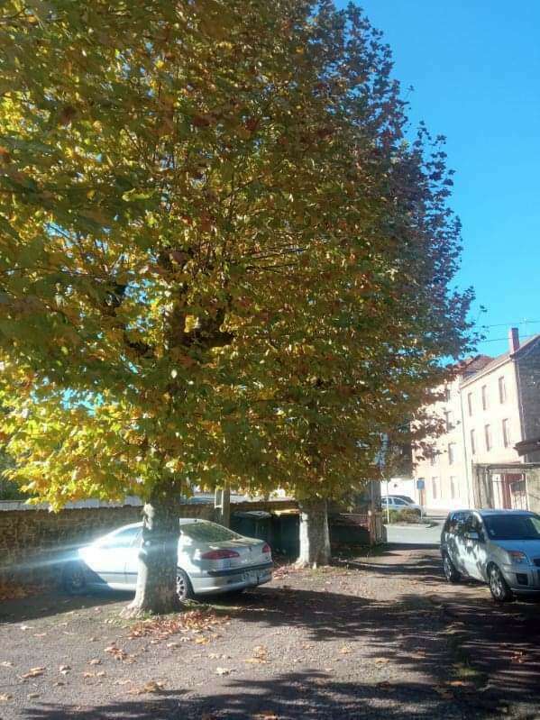 fb_img_172058300668820240710-1061314-80vexi