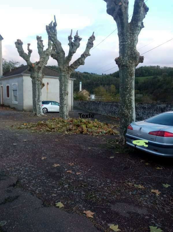 fb_img_172058303701020240710-1061314-frv9si