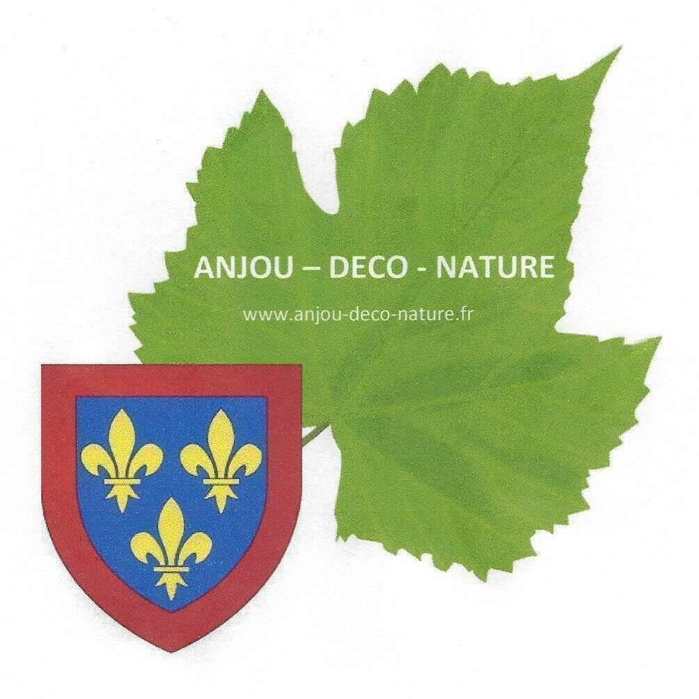 ANJOU-DECO-NATURE LOISIRS CREATIFS