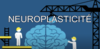 Schéma illustrant la neuroplasticité du cerveau humain