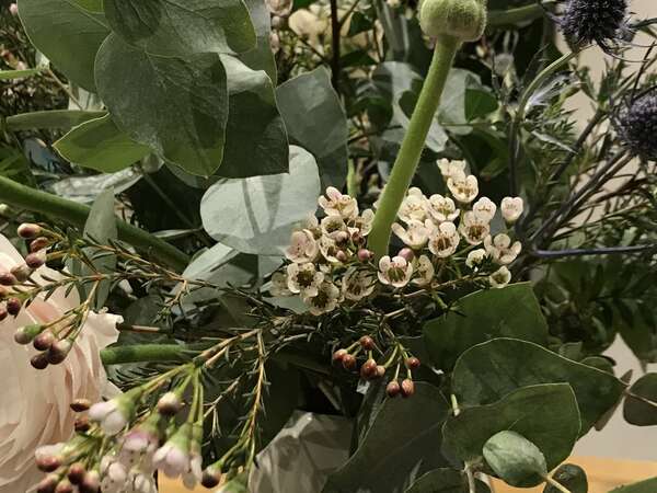 Regarder, se déplacer, prendre de la hauteur 