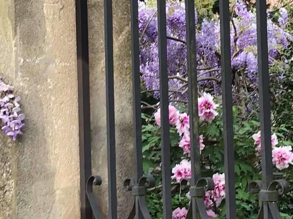 Installation dans une présence attentive 