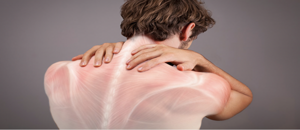 Atelier : Dimanche 22 Janvier : les bienfaits du Yoga sur les fascias