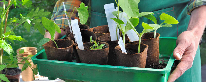 Service d'aide à domicile en jardin à Gagny