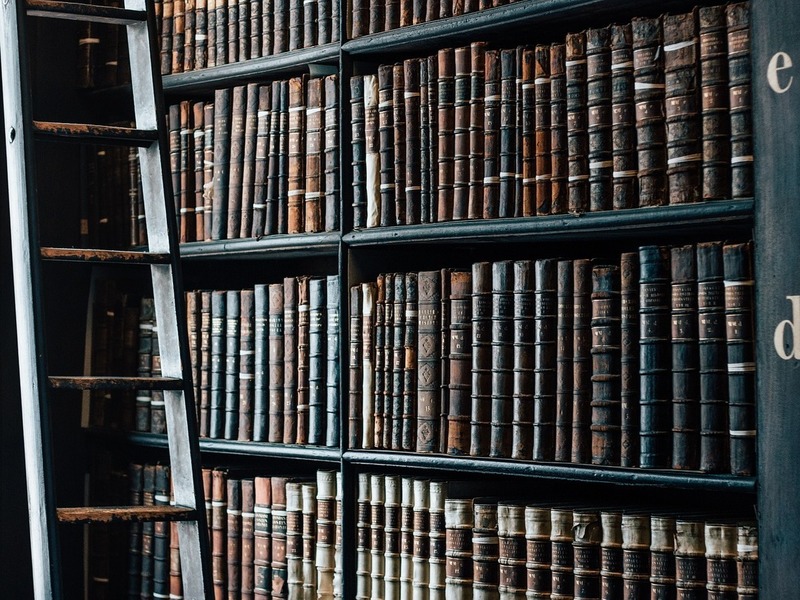 bibliothèques bois paris