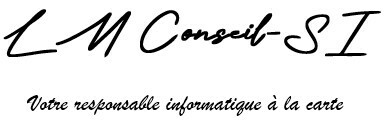 Logo LMConseil-SI