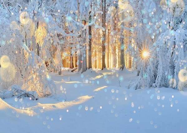 Merveilleuse et Lumineuse Année 2021!