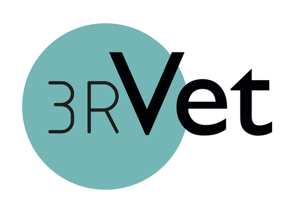 Logo 3RVET