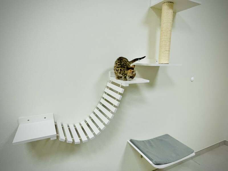 image_20250512_165237_487