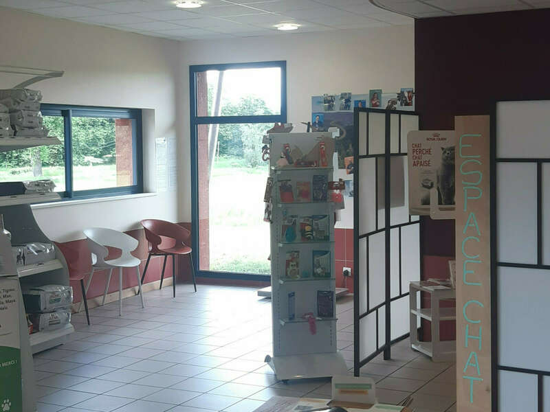 inshot_20250513_154909760