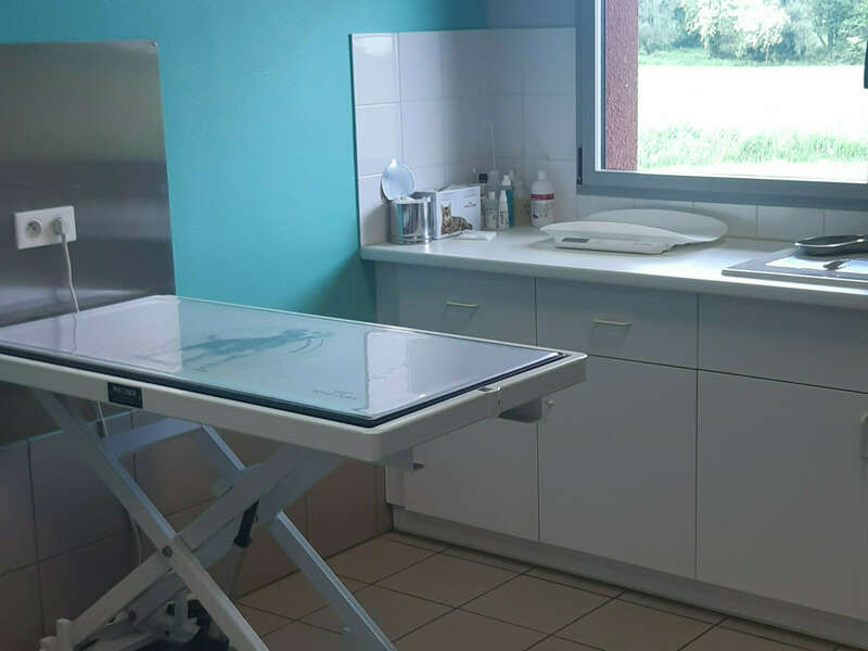 inshot_20250513_154931905