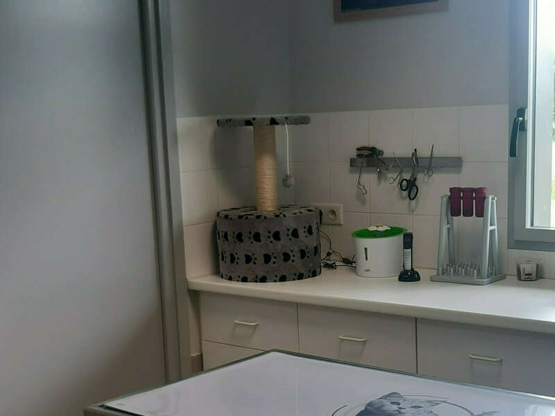 inshot_20250513_154956013