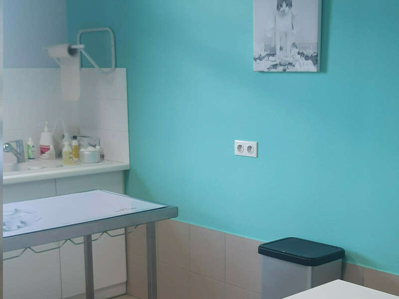 inshot_20250513_155016704