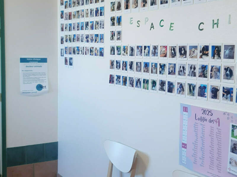 inshot_20250514_092826655