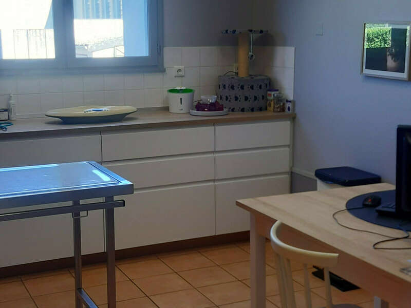 inshot_20250514_092903587