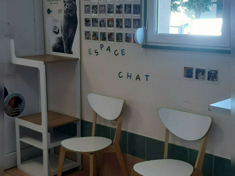 inshot_20250514_092848248