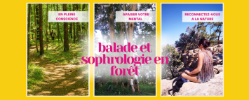 Balade et sophrologie en forêt 