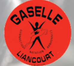 Gaselle