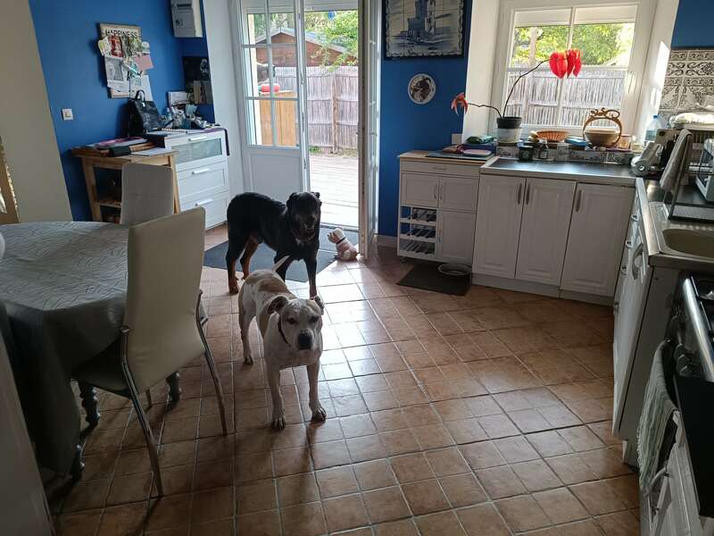 img_20230602_19471920230929-629973-1wlqztv