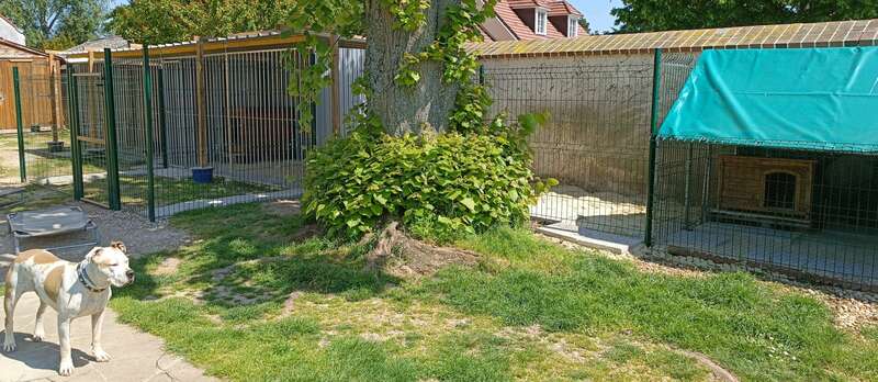 img_20230929_19564420230929-778601-50ajck