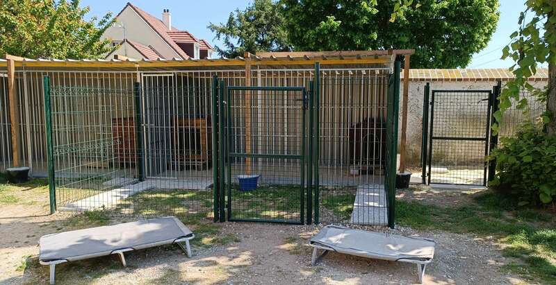 img_20230929_19482320230929-629973-12mmeyz