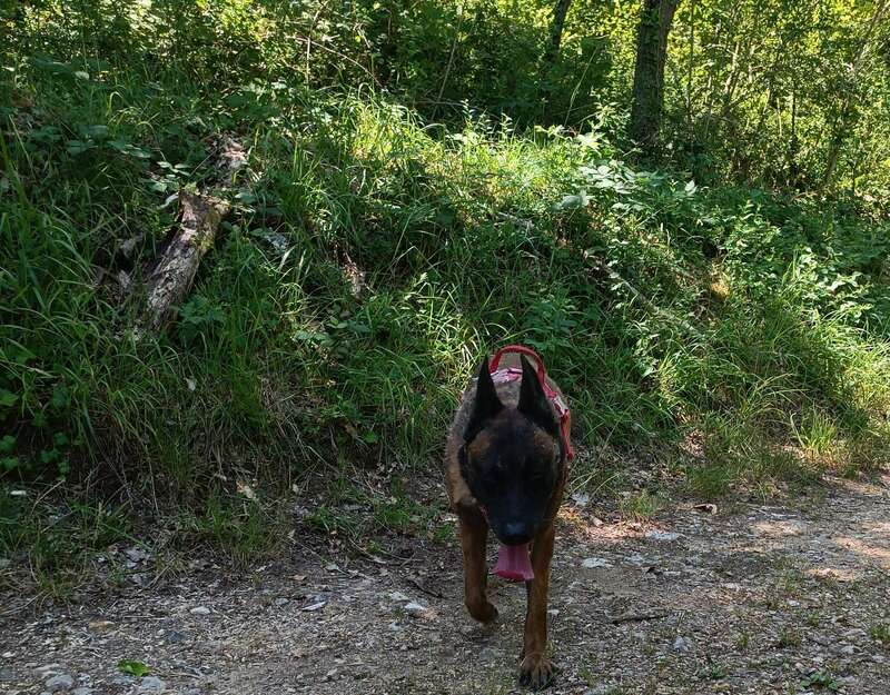 img_20230929_20064620230929-629973-razhmb