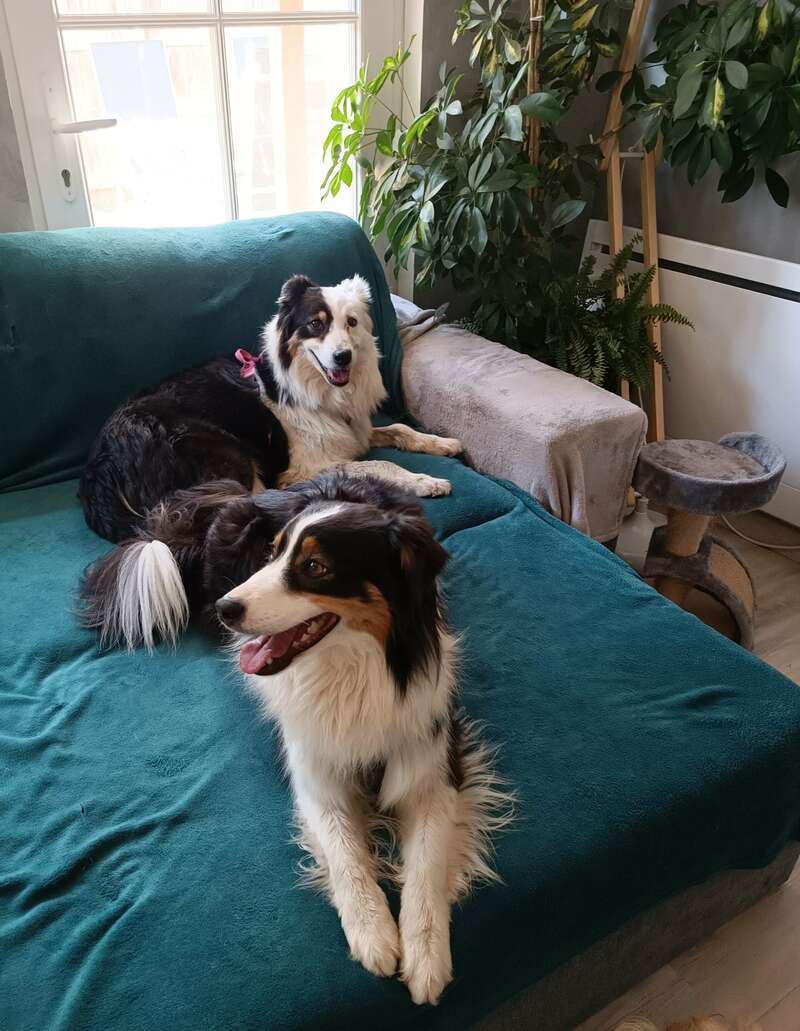 img_20230929_20124120230929-778601-7fk9so