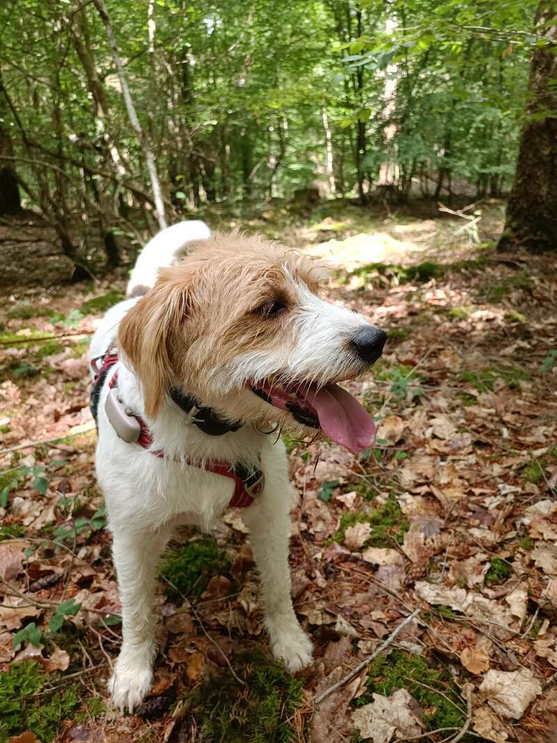 img_20230705_12185620230929-778601-vo6zfy