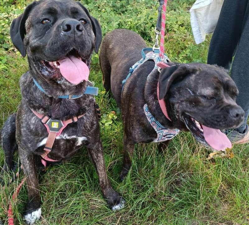 img_20230929_20211520230929-629973-j776va