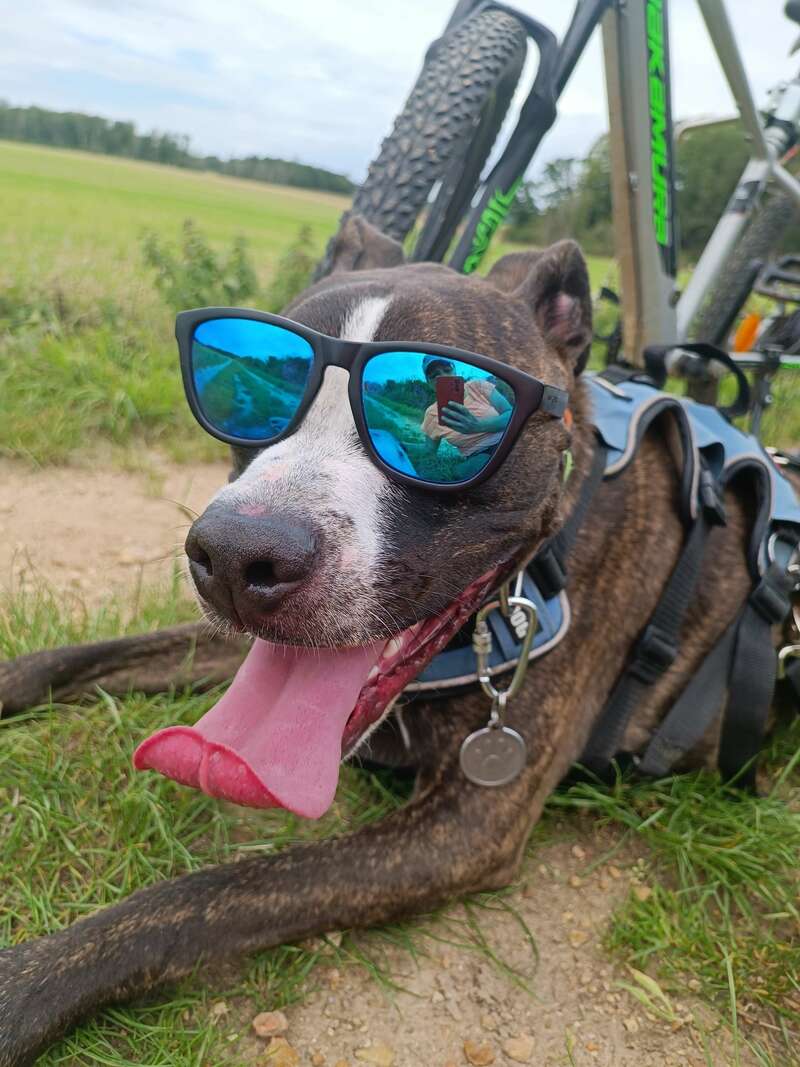 img_20230810_12271320230929-629973-evy2r4