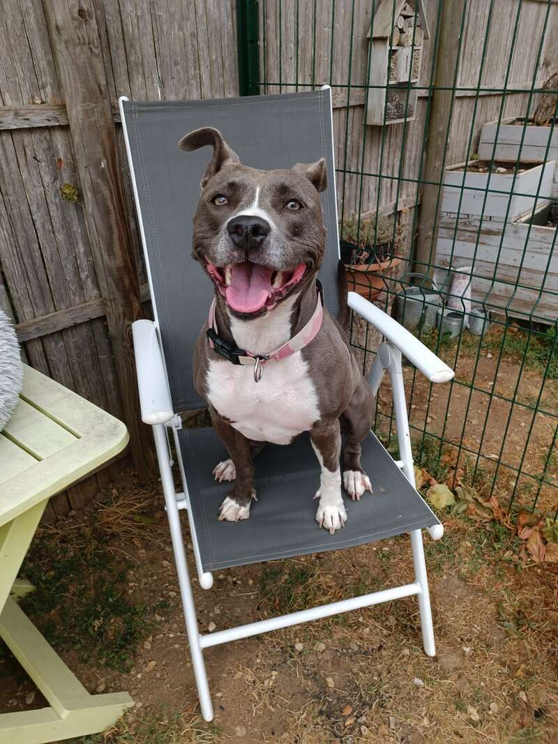 img_20230723_15511120230929-629973-17mr33w