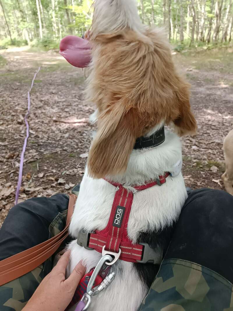 img_20230712_14353220230929-629973-13yhf3t