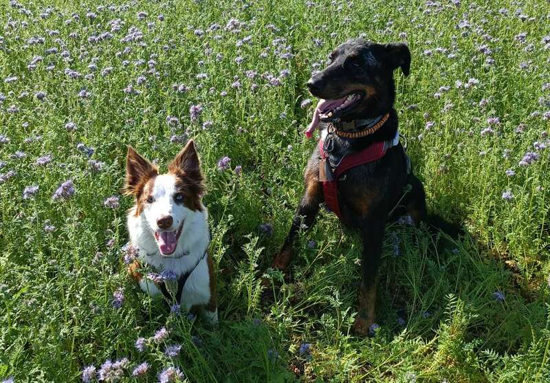 2023-10-1720231103-3615675-157f7em