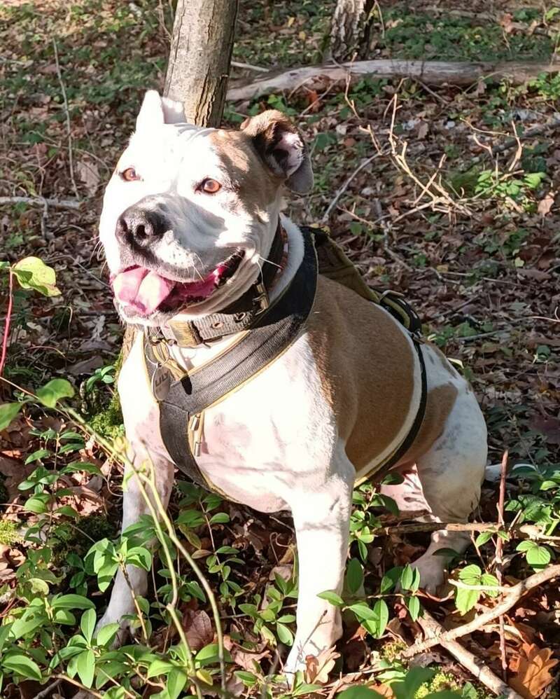 2023-11-1320231114-3056163-b0fph0